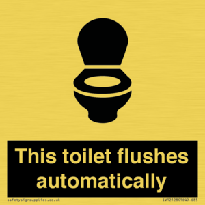 This toilet flushes automatically